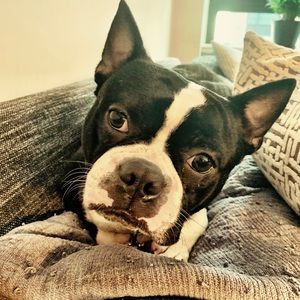 Meet your Posher, Laura